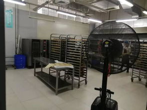 番禺石碁鎮食品廠1100方帶設備轉讓,形象好