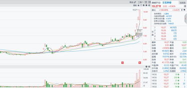 食品股份 三種走勢，一個結果